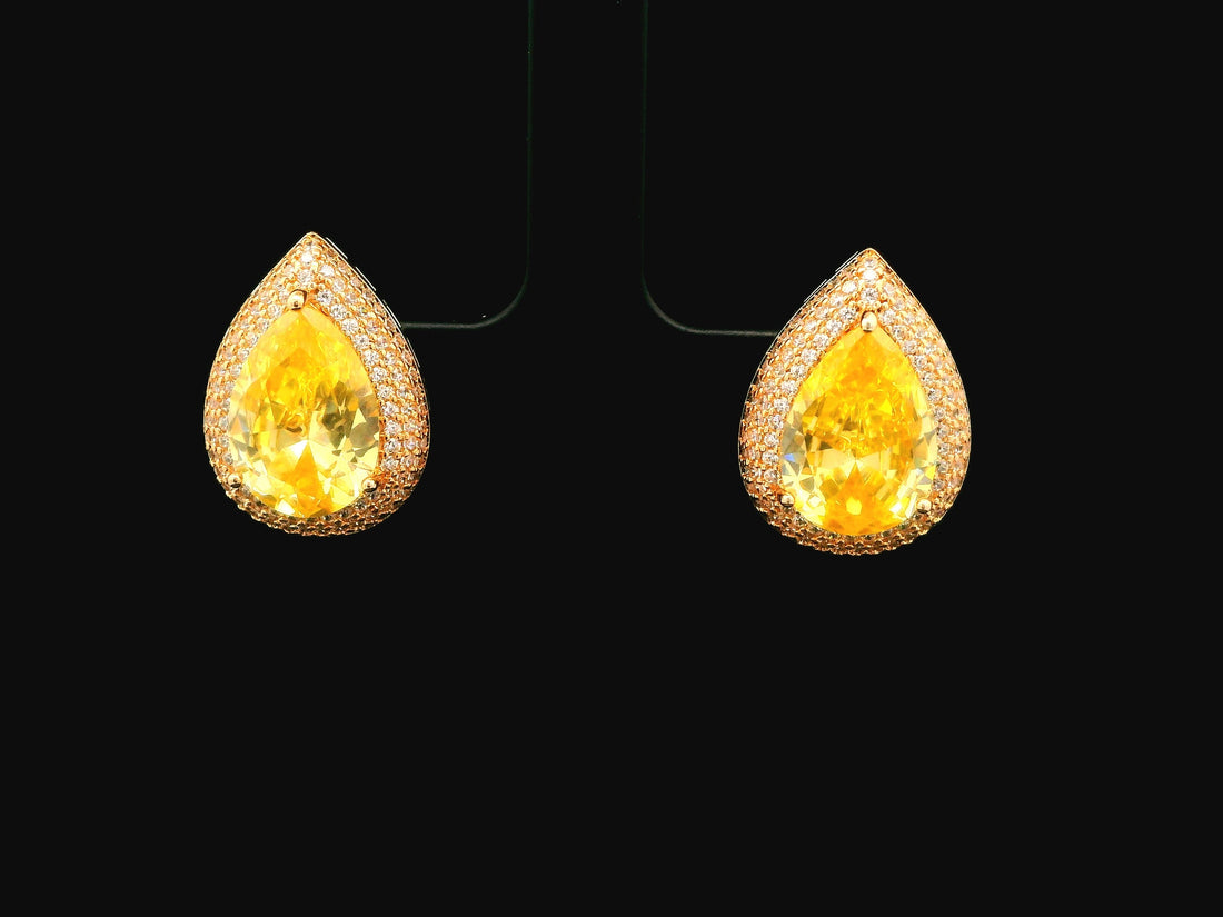 Zircon Earrings 18297
