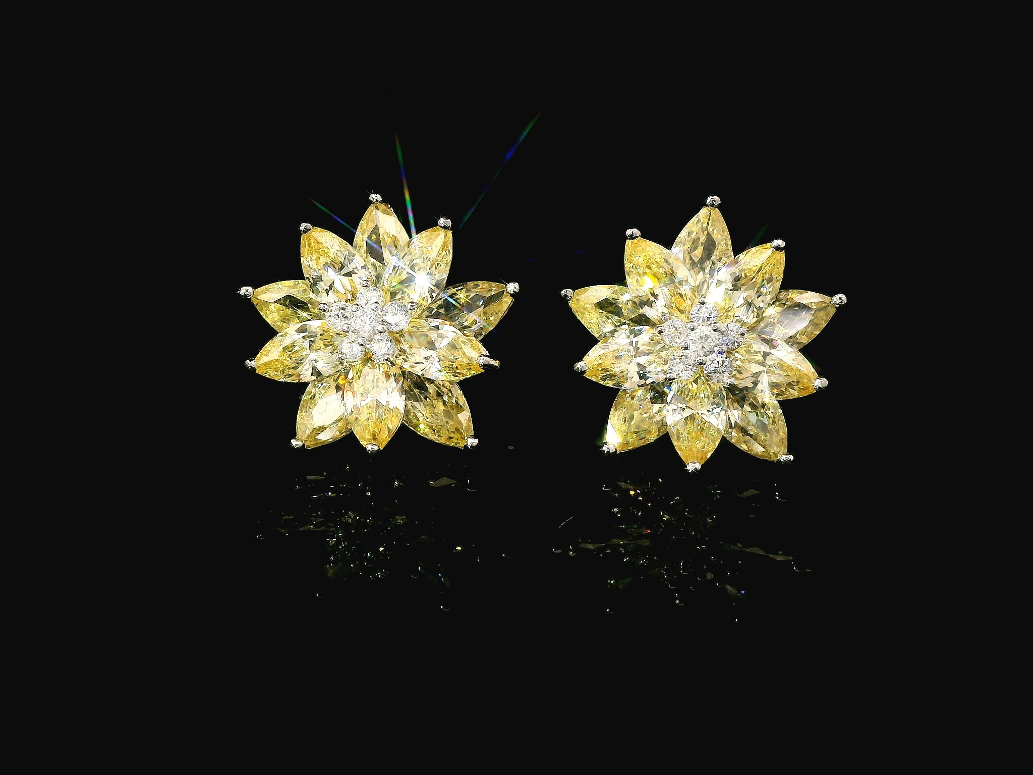 Zircon Earrings 21301