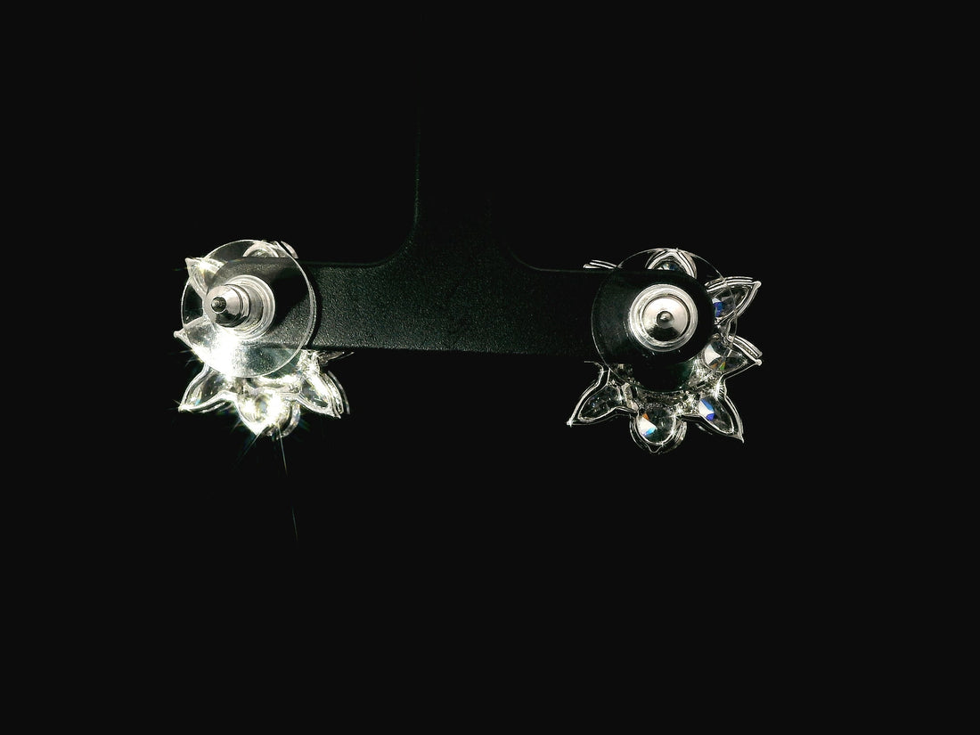 Zircon Earrings 21370
