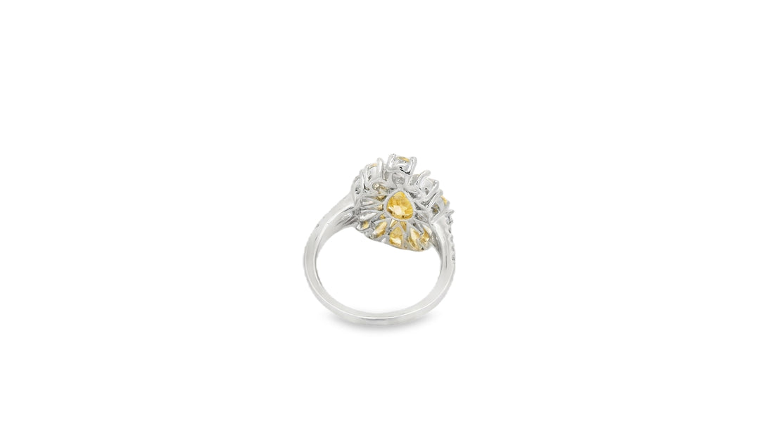 Zircon Finger Ring  29506